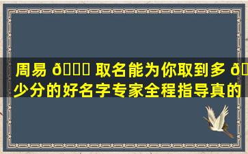 周易 💐 取名能为你取到多 🐶 少分的好名字专家全程指导真的有用吗
